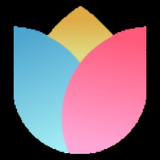 捍衛主場	！上海橫沙譽民奪得崇明賽區冠軍